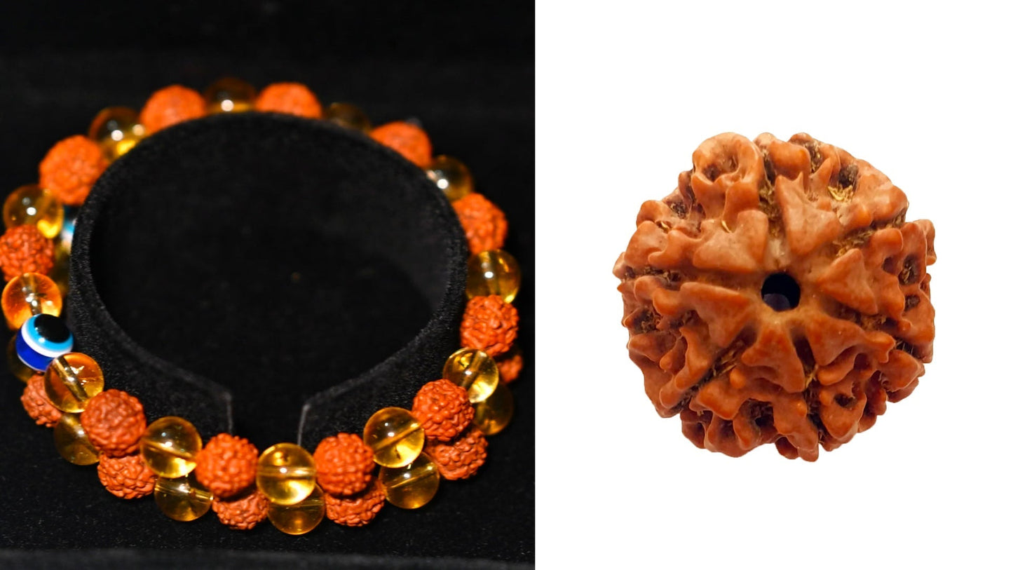 6 Mukhi Rudraksh + Rudraksh citrine crystal bracelet. The Key to Success and Happiness