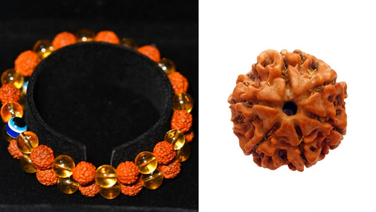 6 Mukhi Rudraksh + Rudraksh citrine crystal bracelet. The Key to Success and Happiness