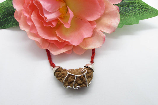 1 One Mukhi Rudraksha - 💯 Certified Authentic ✅